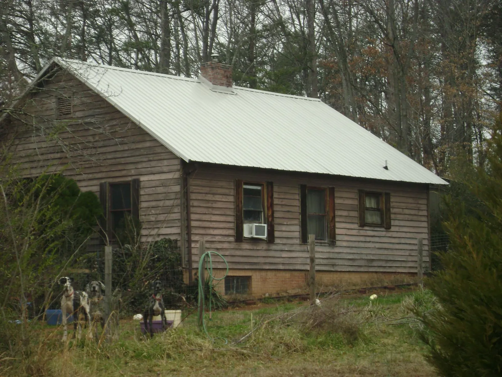 White metal roof on an old wood sided farmhouse, from a Asphalt Shingle Roof Repair job in Orangevale